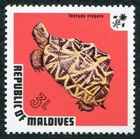 N°0431-1973-MALDIVES-FAUNE-TORTUE TESTUDO ELEGANS-3L