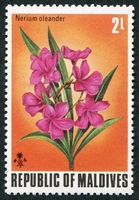 N°0444-1974-MALDIVES-FLEURS-NERIUM OLEANDER-2L