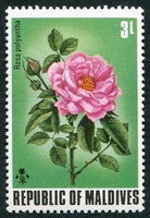 N°0445-1974-MALDIVES-FLEURS-ROSA POLYANTHA-3L