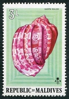 N°0513-1974-MALDIVES-COQUILLAGE-HARPA MAJOR-3L