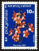 N°128-1979-POLYNESIE-FLEURS-VANDA SP.-10F