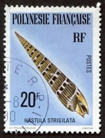 N°142-1979-POLYNESIE-COQUILLAGE-HASTULA STRIGILATA-20F