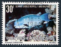 N°174-1982-POLYNESIE-POISSON-SCARUS GIBBUS-30F