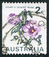 N°0447-1971-AUSTRALIE-FLEURS-ROSE DU DESERT DE STURT-2C