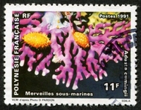 N°378-1991-POLYNESIE-CORAUX-11F