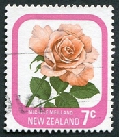 N°0651-1975-NOUVELLE ZELANDE-FLEUR-ROSE MICHELLE MEILLAND-7C