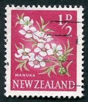 N°0384-1960-NOUVELLE ZELANDE-FLEUR-MANUKA-1/2P