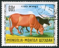 N°0593-1971-MONGOLIE-ELEVAGE BETAIL-60M