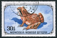 N°0634-1972-MONGOLIE-BATRACIENS-RANA CHENSINENSIS DAVID-30M