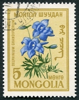 N°0163-1960-MONGOLIE-FLEURS-DAUPHINELLE-5M