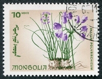 N°0383-1966-MONGOLIE-FLEURS-ALLIUM-10M