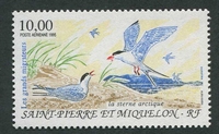 N°074-1993-ST PIERRE MIQUELON-OISEAUX-STERNE ARCTIQUE-10F