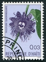 N°540-1965-HAITI-FLEURS-PASSIFLORA QUADRANGULARIA-3C