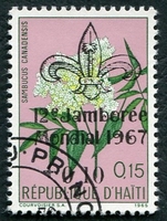 N°581-1967-HAITI-FLEURS-SAMBICUS-+10C SUR 15C