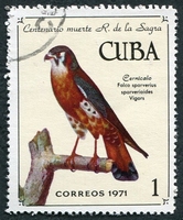 N°1540-1971-CUBA-OISEAUX-FALCO SPARVERIUS-1C