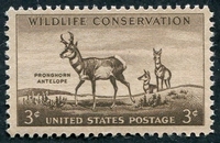 N°0612-1956-ETATS-UNIS-FAUNE-ANTILOPES PRONGHORN-3C