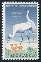 N°0612B-1956-ETATS-UNIS-OISEAUX-GRUES DU TEXAS-3C