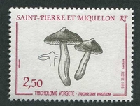 N°497-1989-ST PIERRE MIQUELON-CHAMPIGNON-TRICHOLOME