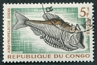 N°0146-1961-CONGO REP-POISSONS-ARGYROPELECUS GIGAS-5F