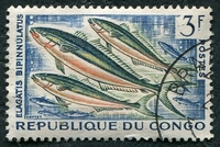 N°0145-1961-CONGO REP-POISSONS-ELAGATIS-3F