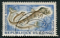 N°0144-1961-CONGO REP-POISSONS-CHAULIODUS SLOANEI-2F