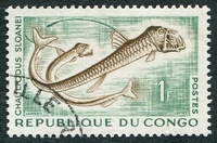 N°0143-1961-CONGO REP-POISSONS-CHAULIODUS SLOANEI-1F