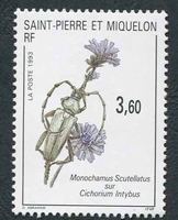 N°575-1993-ST PIERRE MIQUELON-INSECTE SUR FELUR-3F60