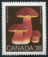 N°1105-1989-CANADA-CHAMPIGNON-BOLETUS MIRABILIS-38C