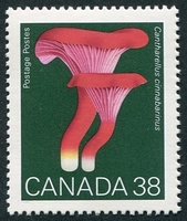 N°1106-1989-CANADA-CHAMPIGNON-CANTHARELLUS-38C