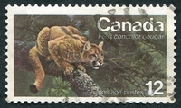 N°0624-1977-CANADA-FAUNE-PANTHERE D'AMERIQUE-12C