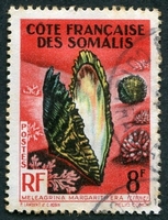 N°311-1962-COTE SOMALIS-COQUILLAGE-MELEAGRINA-8F