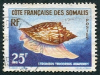 N°313-1962-COTE SOMALIS-COQUILLAGE-STROMBUS-25F