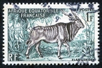 N°238-1957-AFRIQUE EQUAT FR-FAUNE-ELAND DE DERBY-1F