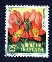 N°244-1958-AFRIQUE EQUAT FR-FLORE-SPATHODEA-25F