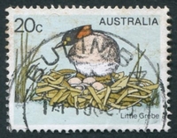 N°0637-1978-AUSTRALIE-OISEAU-PETIT GREBE-20C