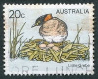 N°0637-1978-AUSTRALIE-OISEAU-PETIT GREBE-20C