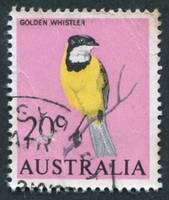 N°0331-1966-AUSTRALIE-OISEAU-SIFFLEUR DORE-20C
