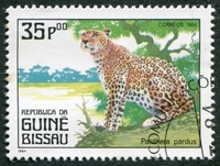 N°0294-1984-G BISSAU-FAUNE-PANTHERA PARDUS-35P