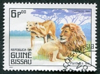 N°0290-1984-G BISSAU-FAUNE-PANTHERA LEO-6P