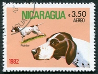 N°0982-1982-NICARAGUA-CHIENS-POINTER-3C50