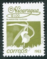 N°1254-1983-NICARAGUA-FLEURS-BRASSAVOLA NODOSA-1C-OLIVE