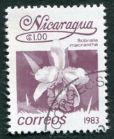 N°1256-1983-NICARAGUA-FLEURS-SOBRALLA MACRANTHA-1C-BRUN/VIOL