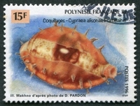 N°504-1996-POLYNESIE-COQUILLAGE-CYPRAEA-15F