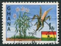 N°0278-1967-GHANA-CEREALE-MAIS-1NP