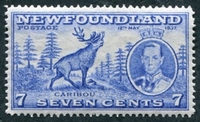N°210-1937-TERRN-CARIBOU-7C-OUTREMER