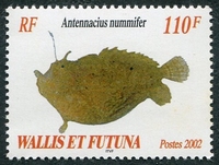 N°585-2002-WALLIS ET FUTUNA-POISSON-ANTENNACIUS-110F