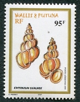 N°209-1999-WALLIS ET FUTUNA-COQUILLAGE-EPITONIUM-95F