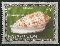 N°629-2005-WALLIS ET FUTUNA-COQUILLAGE-CONUS IMPERIALIS-55F