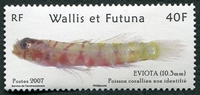 N°677-2007-WALLIS ET FUTUNA-POISSON-EVIOTA-40F