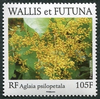 N°699-2008-WALLIS ET FUTUNA-FLEUR-AGLAIA PSILOPETALA-105F